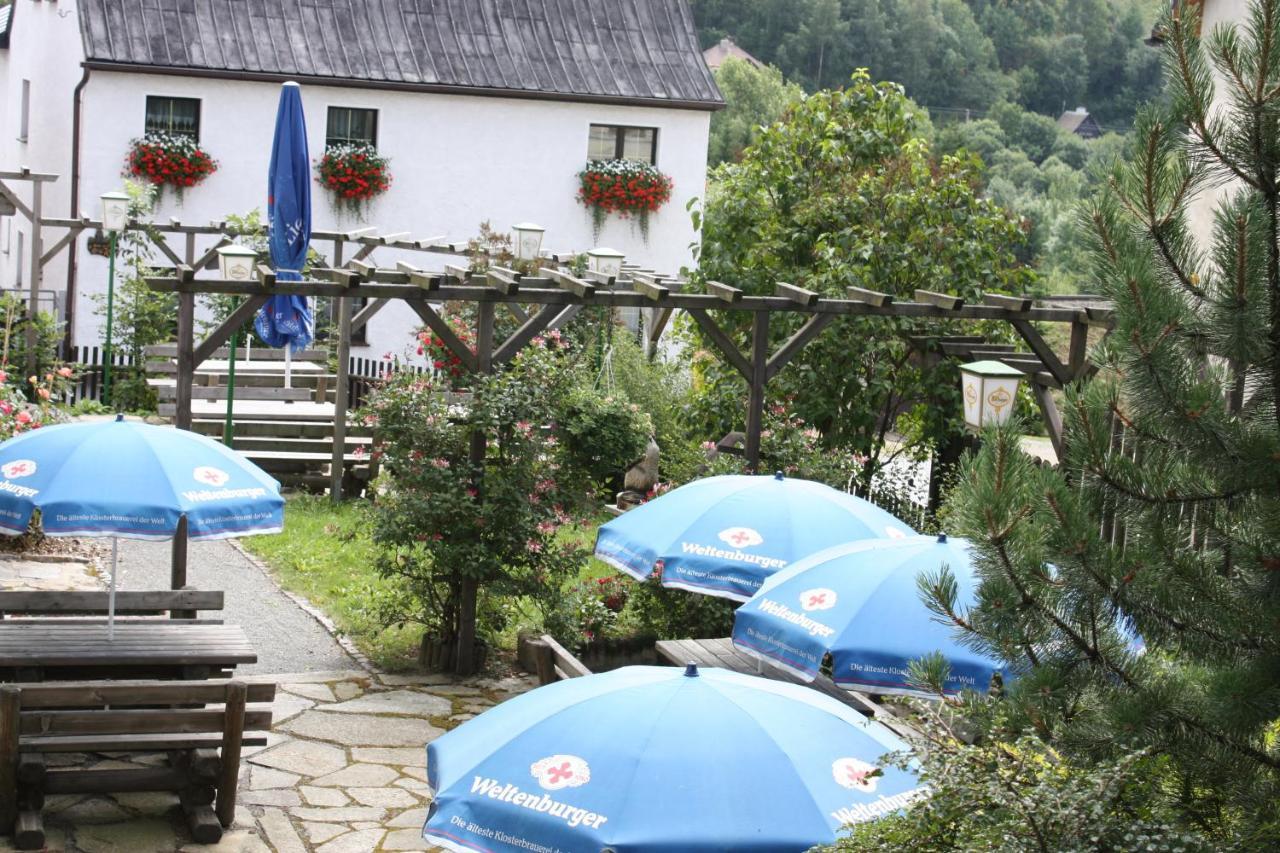 Wellness Hotel Pension & Gaststaette Riedel Курорт Обервизенталь Экстерьер фото